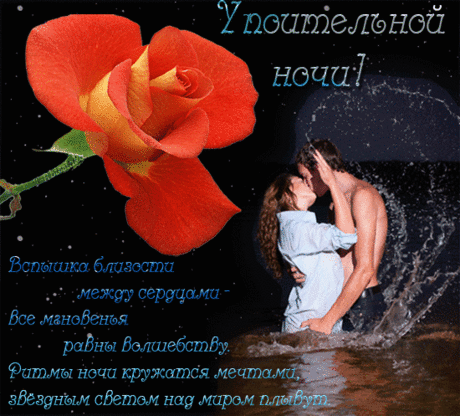 Спокойной ночи!!!