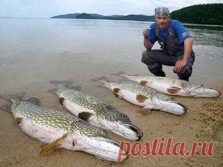 Вот это улов:)
Сергей Шиловский