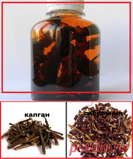 Дедушкина настойка спасает от заболеваний опорно-двигательного аппарата | моя записная книжка | Яндекс Дзен