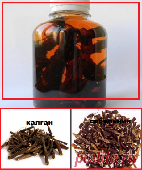 Дедушкина настойка спасает от заболеваний опорно-двигательного аппарата | моя записная книжка | Яндекс Дзен