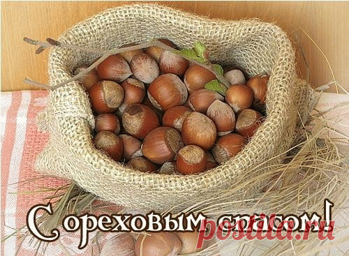 Поздравляю с Ореховым спасом,
Пополняйте скорее запасы.
Хлеб то или орех — собирай,
И Господни дары восхваляй.