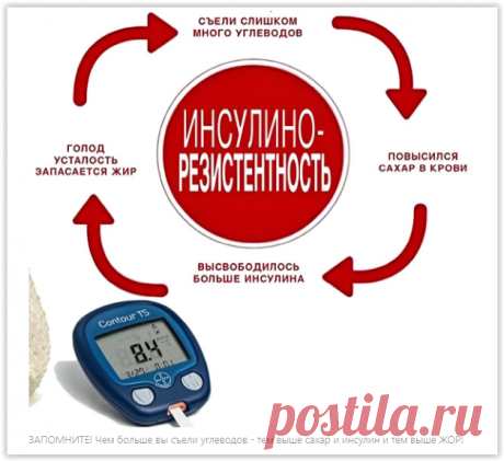 Почему мы не можем похудеть? Тайная неизличимая болезнь о которой молчат врачи!