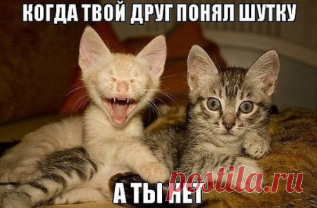 Одноклассники