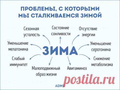 Что нужно знать о зимнем питании, чтобы встретить весну во всеоружии