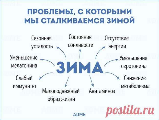 Что нужно знать о зимнем питании, чтобы встретить весну во всеоружии