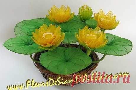 Сарочка Черныш
Израиль, Petah Tikva