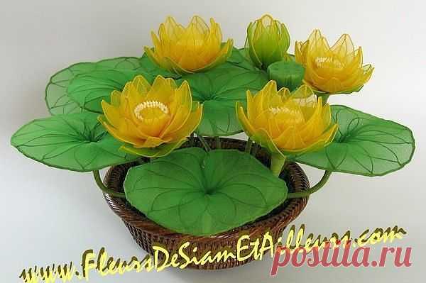 Сарочка Черныш
Израиль, Petah Tikva