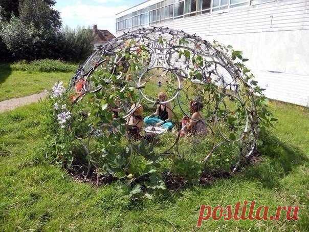 Садовый центр Greensad! Лучшие растения и товары