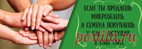 Главная — Интернет-магазин «Ильинские травы»