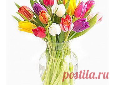 Тюльпаны самые весенние цветы.