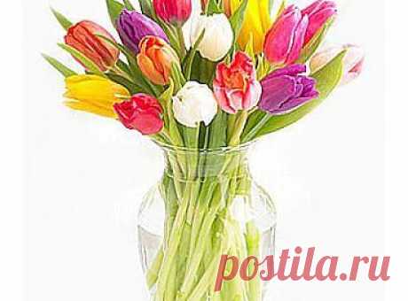 Тюльпаны самые весенние цветы.