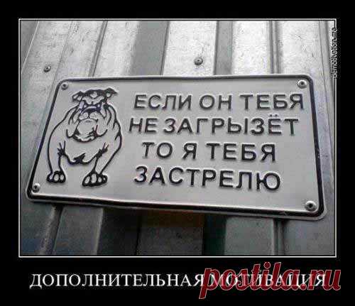 Диалоги