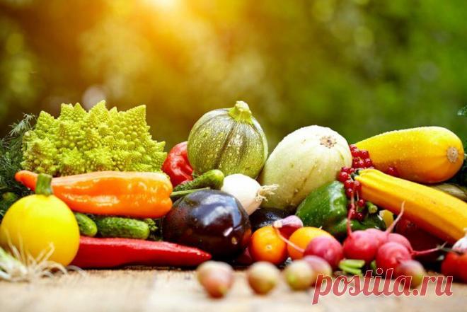 Рекомендации для начинающих огородников
Начинающим огородникам очень нужны советы и рекомендации от опытных старожилов, огород —...
Читай дальше на сайте. Жми подробнее ➡