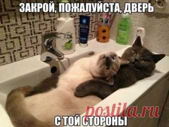 (65) Лия Гусельникова