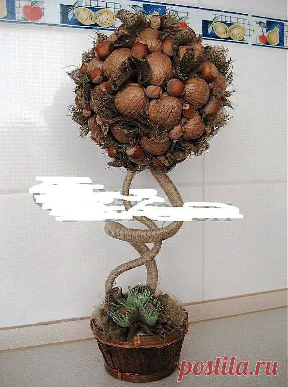getImage (573×768)