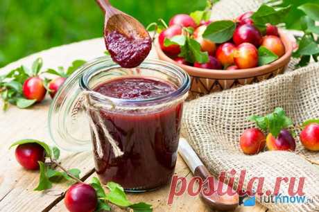 Сливовый соус к мясу: 9 рецептов