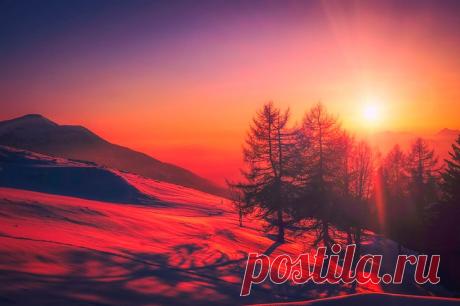 Они ругались из-за разных мелочей: немытой посуды, неубранной постели, пригоревшего ужина