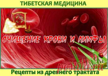 Рецепты тибетской медицины для очищения крови и лимфы. Тибетские врачеватели рекомендуют очищать лимфу и кровь от продуктов обмена перед тем, как начинать любое лечение. Они убеждены, что недуг после такой чистки быстрее отступит, да и другие заболевания не станут к вам цепляться.