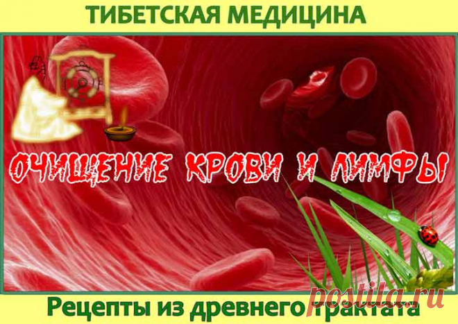 Рецепты тибетской медицины для очищения крови и лимфы. Тибетские врачеватели рекомендуют очищать лимфу и кровь от продуктов обмена перед тем, как начинать любое лечение. Они убеждены, что недуг после такой чистки быстрее отступит, да и другие заболевания не станут к вам цепляться.
