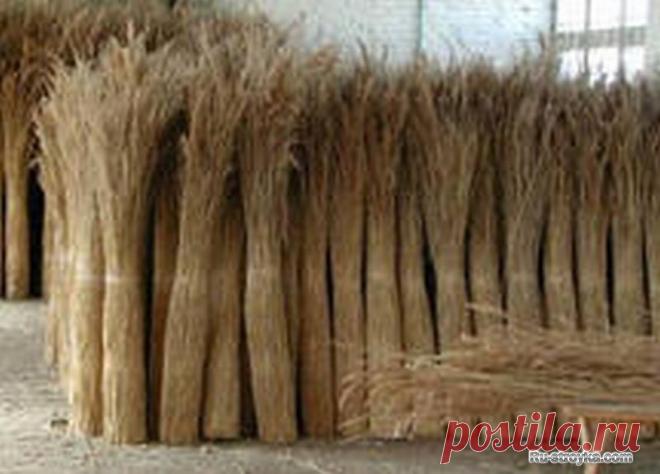 Кровля из соломы