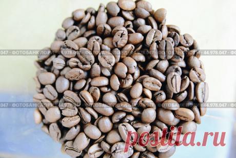 Coffee beans Стоковое фото, фотограф Ilaronsia / Фотобанк Лори