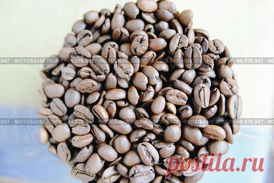 Coffee beans Стоковое фото, фотограф Ilaronsia / Фотобанк Лори