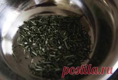 Предпосевная обработка семян – мобилизируем скрытые резервы | Ogorodnik | Ogorodnik.com