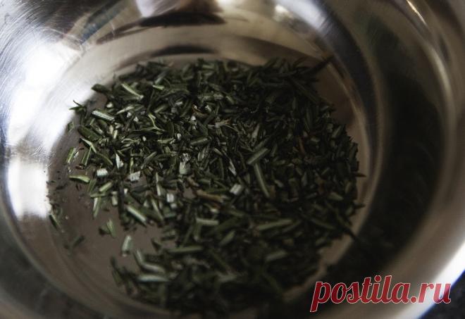 Предпосевная обработка семян – мобилизируем скрытые резервы | Ogorodnik | Ogorodnik.com