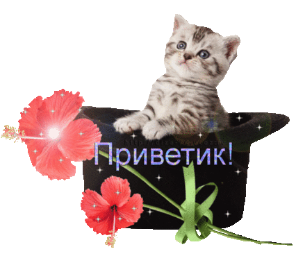 ПРИВЕТ !!!