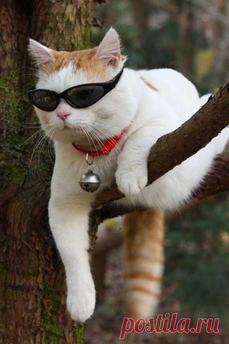 Photolove Just hanging Yo Bros ~ Lovely Cool Photo of the Day