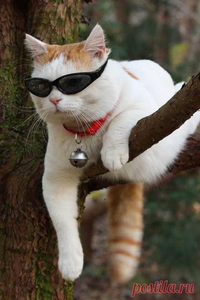 Photolove Just hanging Yo Bros ~ Lovely Cool Photo of the Day