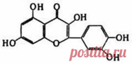 цитата selwas : ЛУКОВАЯ ШЕЛУХА – КВЕРЦЕТИНА КЛАДЕЗЬ! (07:32 29-02-2016) [4683827/385631063] - Почта Mail.Ru
