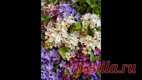 ΠΠ°ΡΡΠ΅Ρ ΠΊΠ»Π°ΡΡ ΠΏΠΎ Π»Π΅ΠΏΠΊΠ΅ ΡΠΈΡΠ΅Π½ΠΈ ΠΈΠ· Ρ
ΠΎΠ»ΠΎΠ΄Π½ΠΎΠ³ΠΎ ΡΠ°ΡΡΠΎΡΠ°/ΡΠΏΡΠΎΡΡΠ½Π½ΡΠΉ Π²Π°ΡΠΈΠ°Π½Ρ/.