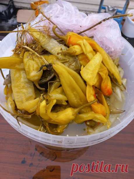 Соленый острый перец. Подробный рецепт, бесподобной вкуснятины. Рецепт из старого блокнота | Большая Ира | Яндекс Дзен