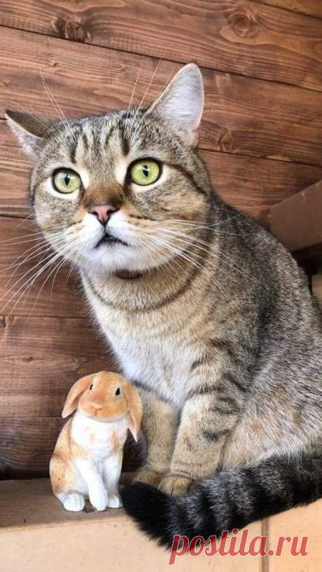 Мария Морева | Facebook