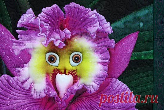 Image detail for -Rare Parrot Orchid | Flowers
