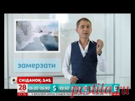 Експрес-урок - Змерзнути й замерзнути - одне й те саме?