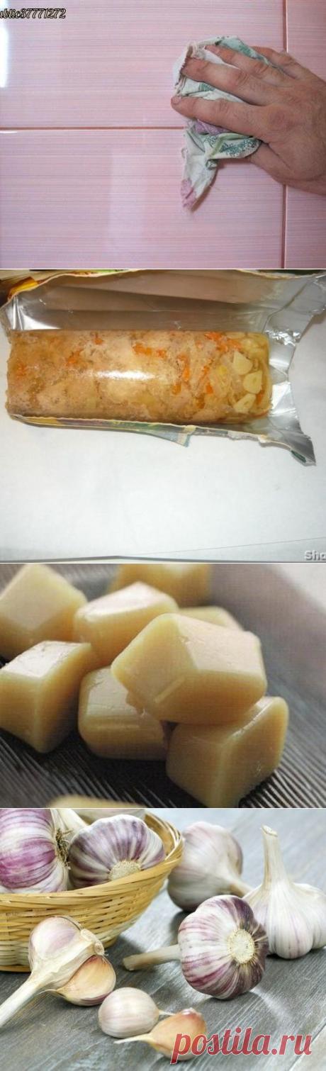 Предсказание Ванги о Путине! Пророчество которое раньше было под запретом! - МирТесен