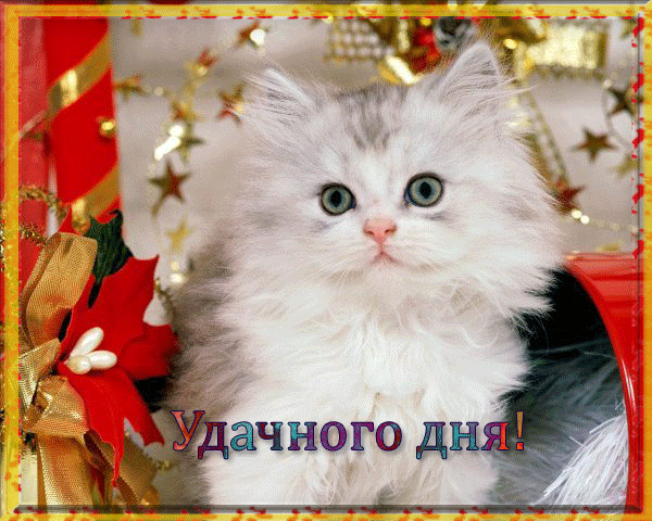 Улыбнись этому новому дню - Плейкасты