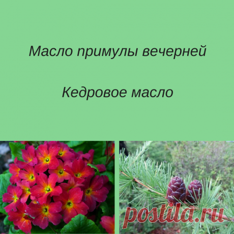 Кедровое масло.