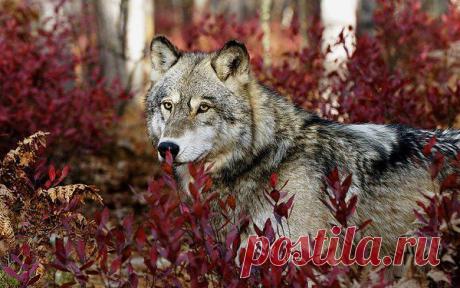 Интересные новости