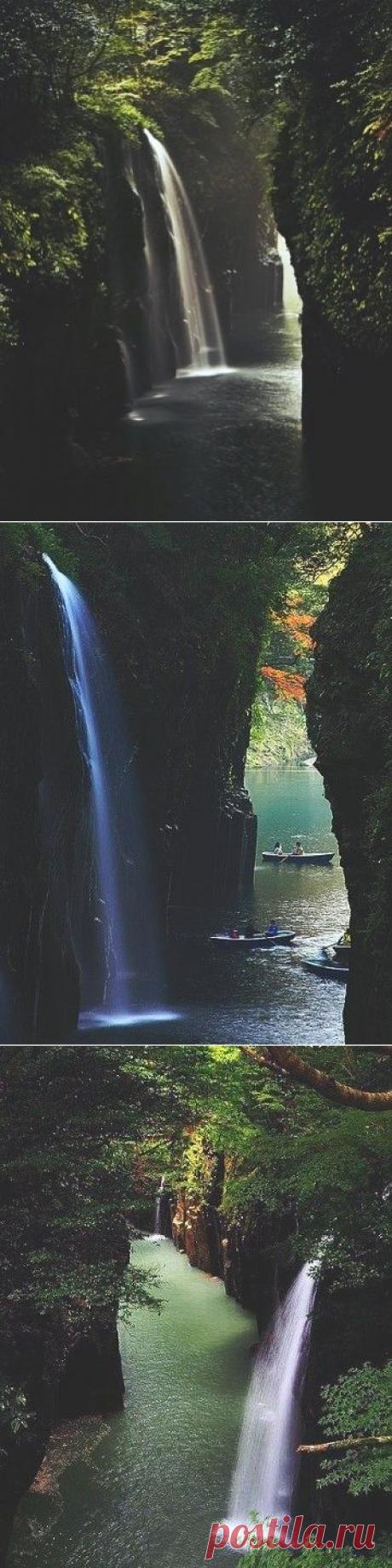 (6) Одноклассники