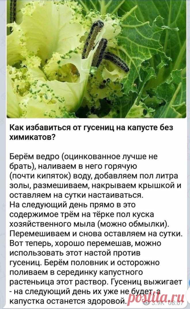 Наша Дача