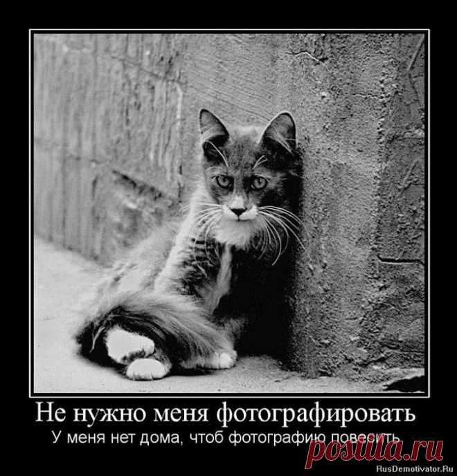 Одиночество...