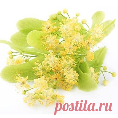 Мой дом