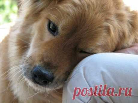 Мой Мир@Mail.Ru