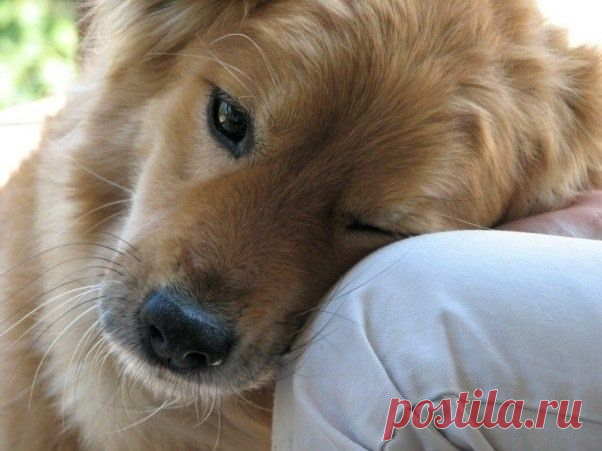 Мой Мир@Mail.Ru