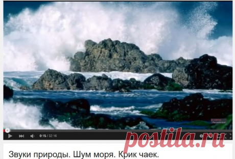Как вставить видео в тему! - ПОМОЩЬ НОВИЧКАМ - Женский Мир