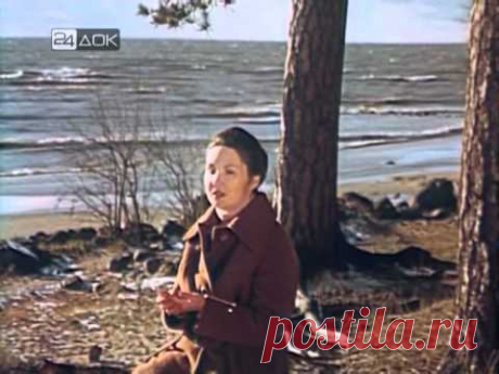 Калининград (1980)