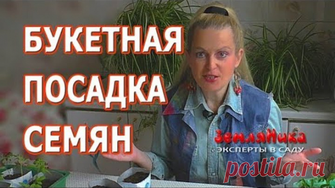 Посадка семян цветов букетным способом. Советы от Ольги Вороновой. Букетная посадка. В этом ролике Ольга Воронова поделится своим самым излюбленным способом посадки семян цветов на рассаду, она расскажет про букетный способ посадки. Этим способом вы можете сажать не только цветы, но и некоторые овощные культуры.

Смотрите сюжет 